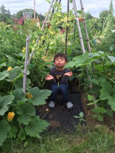 A young boy Buddha in the vegetable garden.