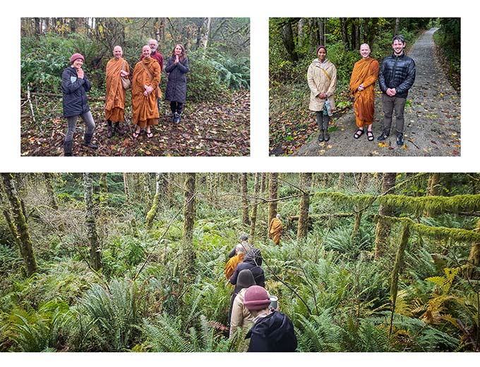 A collage of photos from the Friends of Clear Mountain board’s first visit to the land.