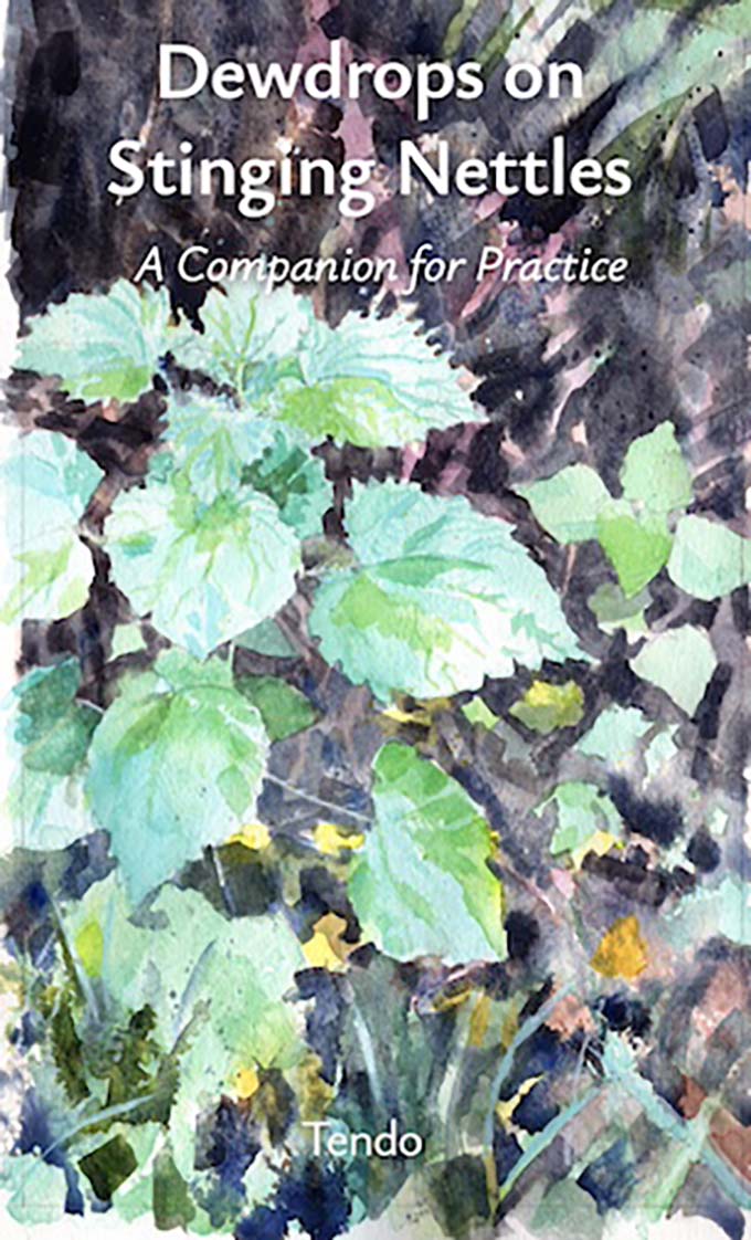 The cover of “Dewdrops on Stinging Nettles.”