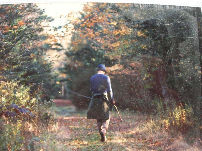 A warrior and a quiet moment in the woods.