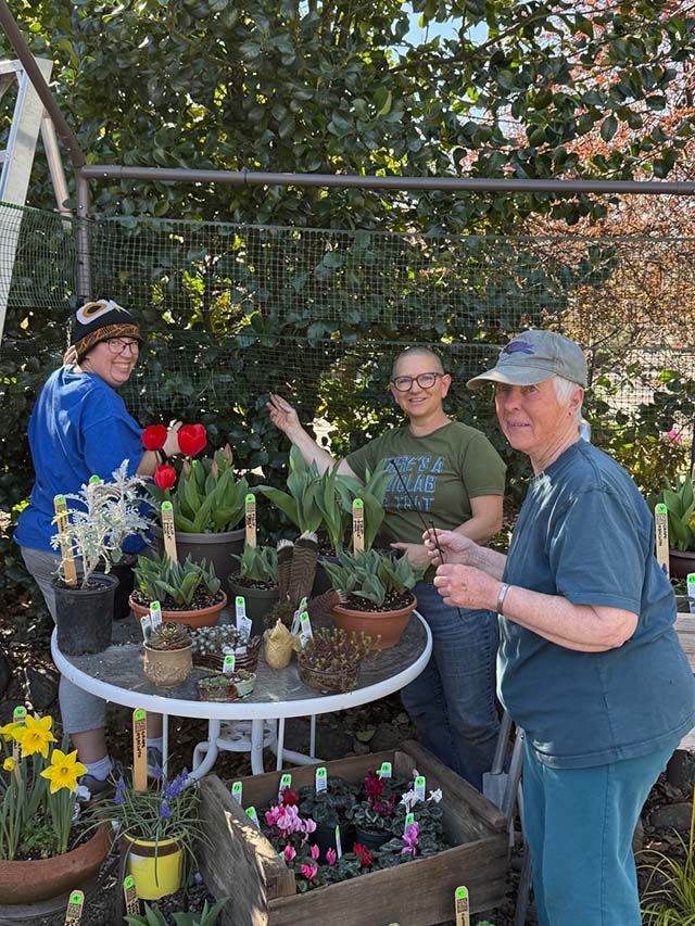Stocking plants at the beginning of the 2026 Little Zen Farm Stand season