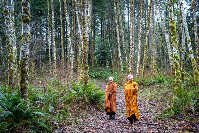 Ajahn Kovilo and Ajahn Nisabho visiting the land in Dec, 2025, before purchase of the first piece was completed