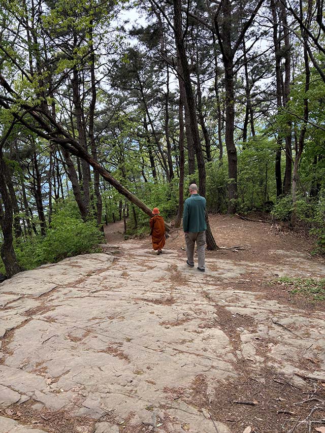 Bartlett and Ayya Sucitta walking on a path above Saseongam mountain hermitage