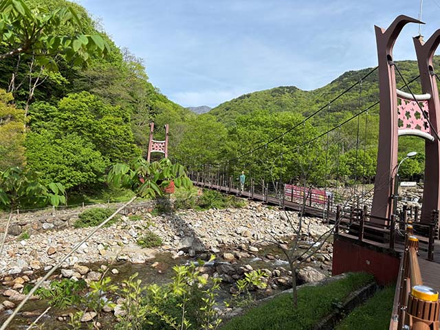 Bartlett crossing a bridge in Pia Valley