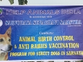 A poster explaining the Sarnath animal welfare program