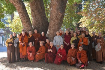 This is a photo of all the nuns attending the gathering this year, far more than the monks