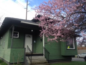 Cherry blossoms frame the zendo, shortly after it opened