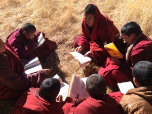 Shedra monks studying outside