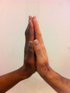 Two hands, symbolizing human unity despite differences.