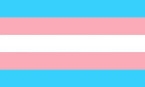 The trans flag.