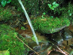 Natural spring water brings a cool feeling in the 2015 summer in Oregon
