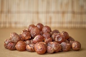 Soapnut tree nuts were used to make the first malas mentioned in the Pali Canon, the original texts of early Buddhism