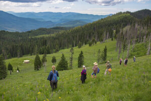 Emily Rice, Jeri Mrazek, Marla McFadin and Michelson take a mindful hike during the retreat.