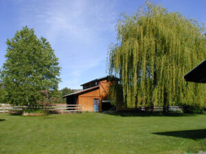 We also sat in Larry and Jayne Schrock’s yard, with its barn and beautiful shade-providing willow