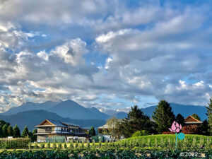 The certified organic farm with temple buildings in the background