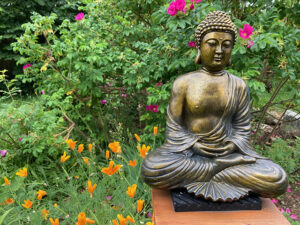 A Buddha  in garden overlooks practice  there
