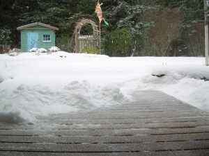 A prayer flag flying next to the  garden shed, during an unusually big snow for the San Juan Islands