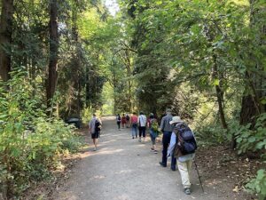 Climate Action Group and other SIMS sangha members, walking through the ancient forest at Seattle’s Seward Park last fall