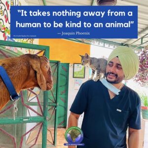 Kindness to animals is rooted in many  people’s religions, such as with this Sikh man