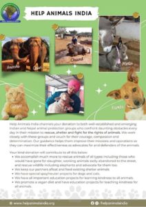Help Animals  India’s work  is extensive