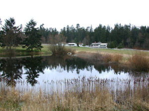 The serene view  from Enso House includes this nearby pond