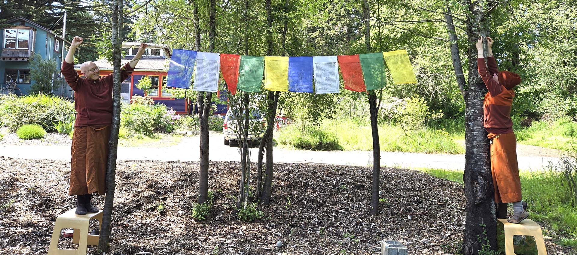 Female Theravada monastics this year started monasteries in Olympia and in Port Townsend, part of a regional trend of monastics, and women, deepening their dharma manifestations