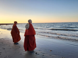 Samaneri Junha and Ayya Anandabodhi, contemplating the way to the beyond