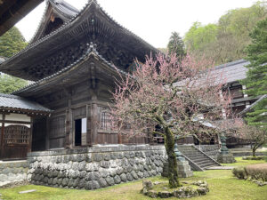 Inner courtyard and dharma hall at Eihei-ji Monastery, founded by Dogen in 1241