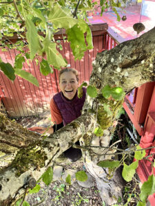 Karla climbing the apple tree (of knowledge) during work meditation at a Sahale retreat in Washington state