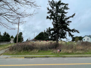 A view of the Camas Hall site, from across the street