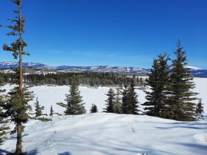 The expansive  nature of the Yukon is a dharma inspiration for practitioners there